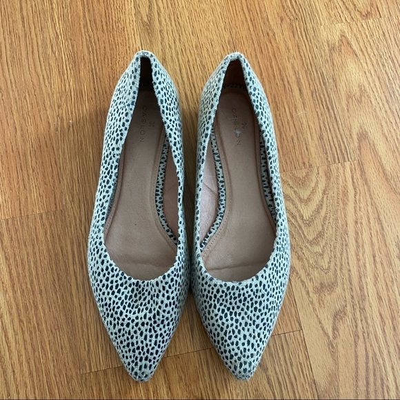 Caslon Pointed Toe Cheetah Flats - Picture 3 of 9